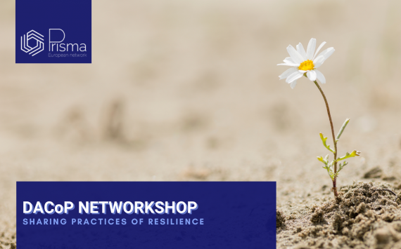 DACoP Networkshop: Sharing Practices of Resilience