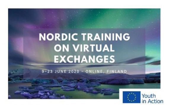 Nordic Online Training on Virtual Exchanges