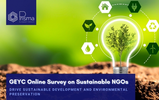 GEYC`s Online Survey on Sustainable NGOs