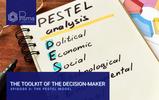 THE TOOLKIT OF THE DECISION MAKER #3 The PESTEL Model